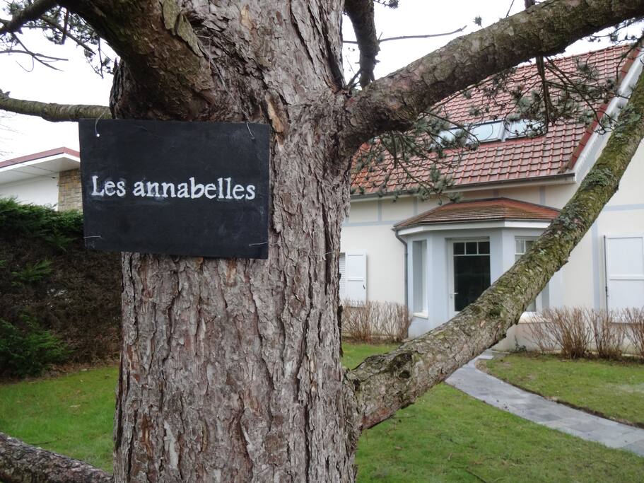 Bienvenue !