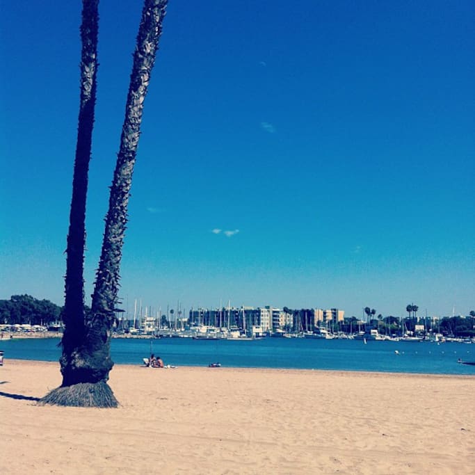 รูปMarina Beach