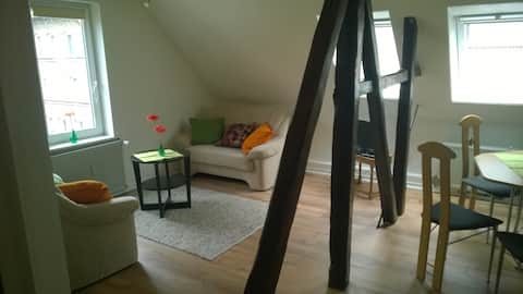 Central 60 sqm apartment in Braunschweig