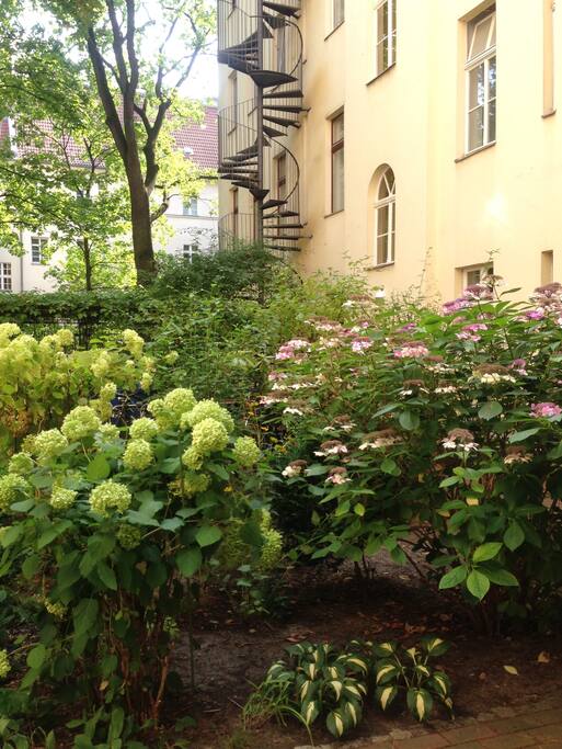 Green courtyard