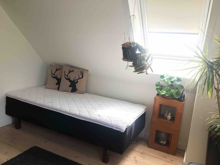 Chumba cha kulala #3 na kitanda kimoja.