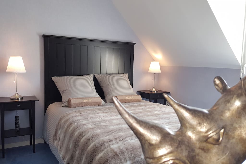Chambre neuve disposant d'un lit 140/200, d'une literie haut de gamme, de deux chevets et de 2 commodes 3 tiroirs. Décorée avec soin elle saura ravir les amoureux de confort et de literie 5* !