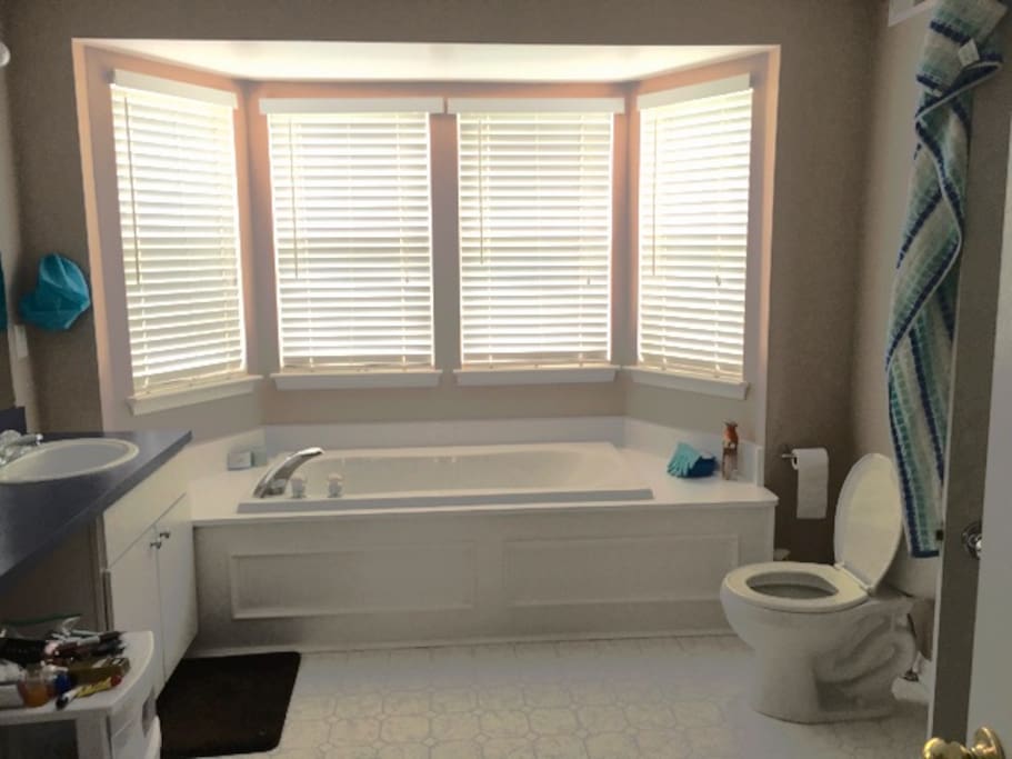 huge bathtub, inviting windows, and great shower (which isn't pictured)