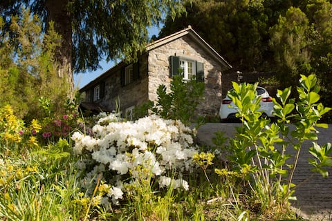 Cedro - A cottage surrounded by nature!