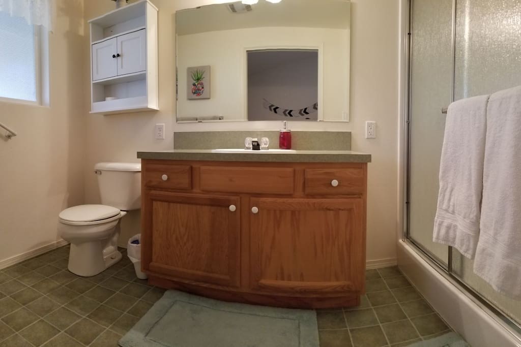 Bathroom is generously sized with double door, stand up shower