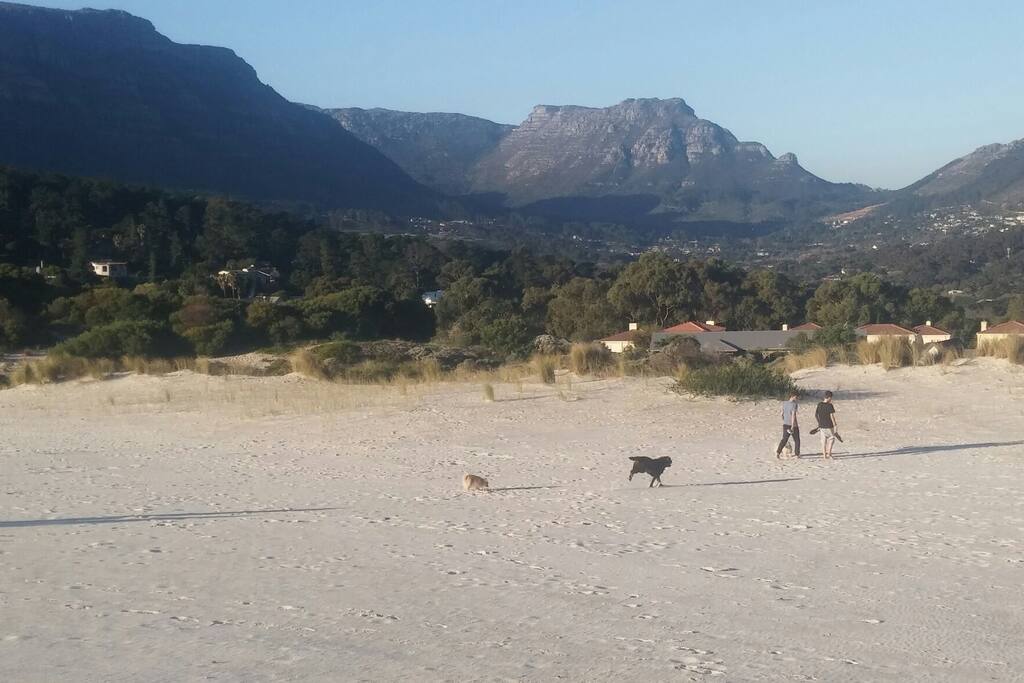 Backyard. Nature Reserve..