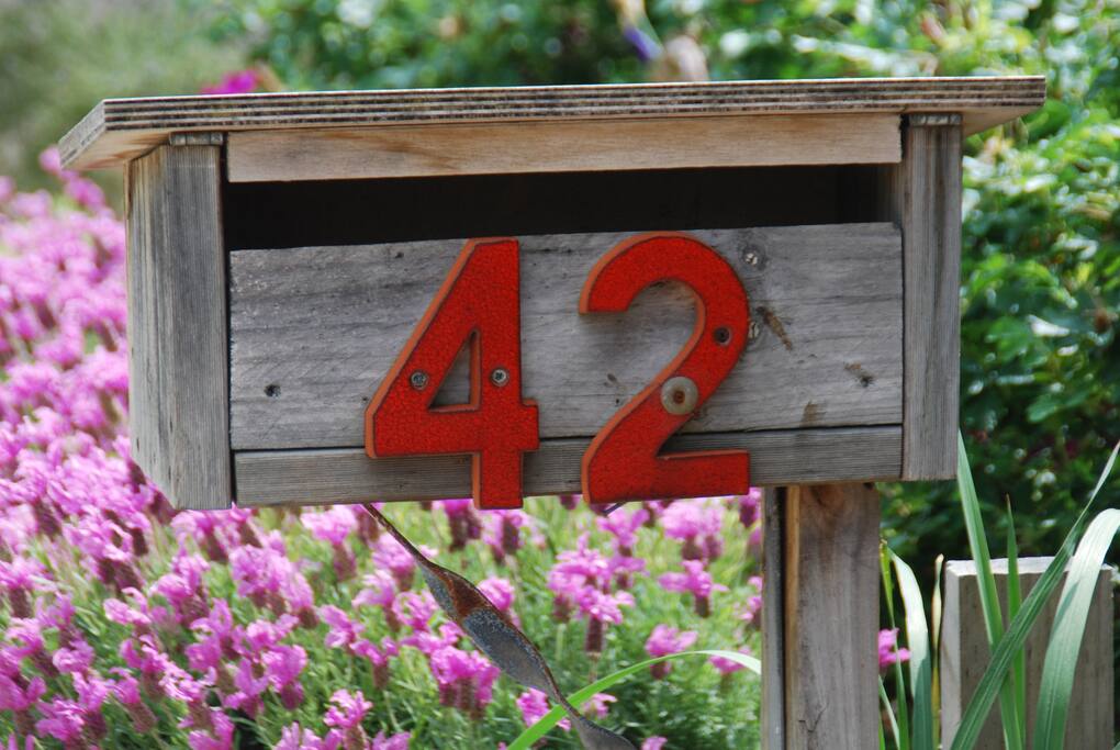 Accommodation@42