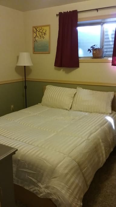 One bedroom with a queen size bed.