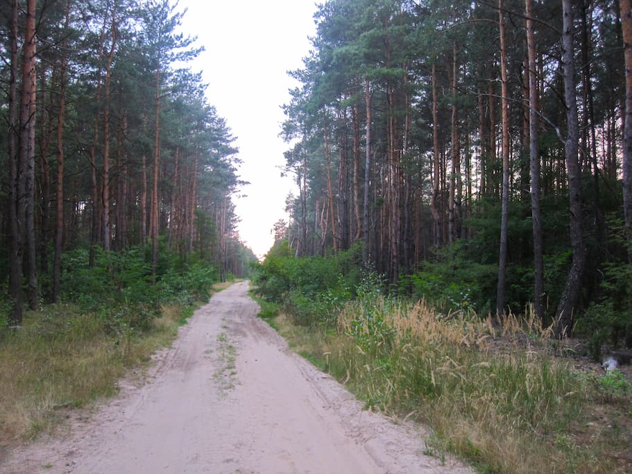 Surrounding first walking trails