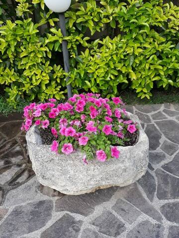 Villa con piscina gallery image 5