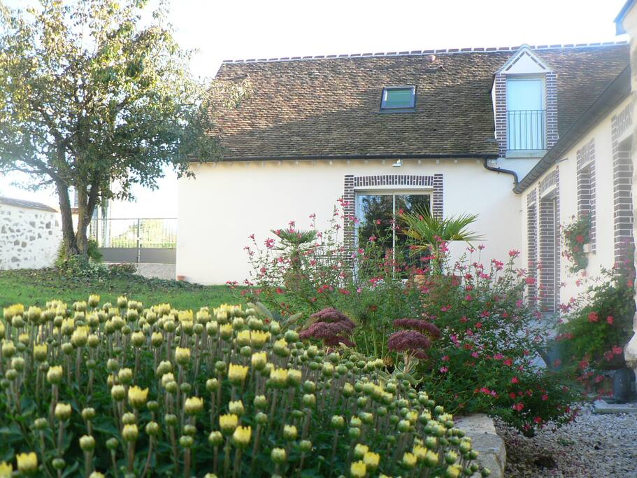 Profusion de fleurs.