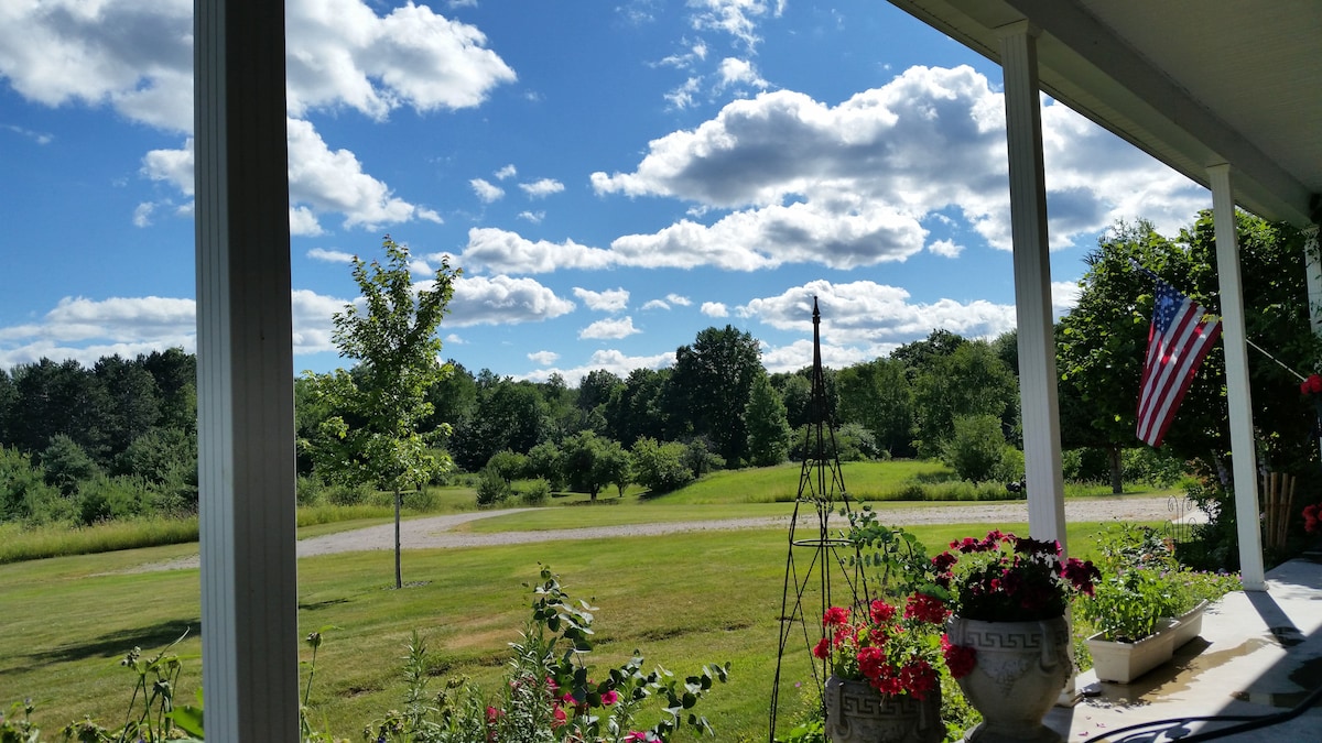 A view from the porch showcases a wide expanse of green lawn, bordered by trees in the background. Fluffy clouds drift across a bright blue sky, while colorful flowers in pots and a flagpole add charming details to the foreground.