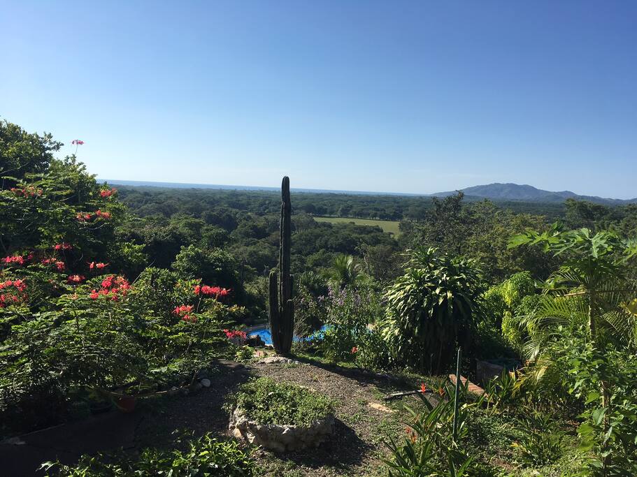 Ocean view from the house