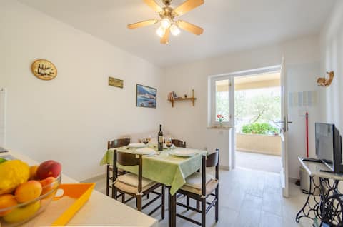 Successful Airbnb property: Puntin One. Little sunny paradise in Korcula in Pupnat