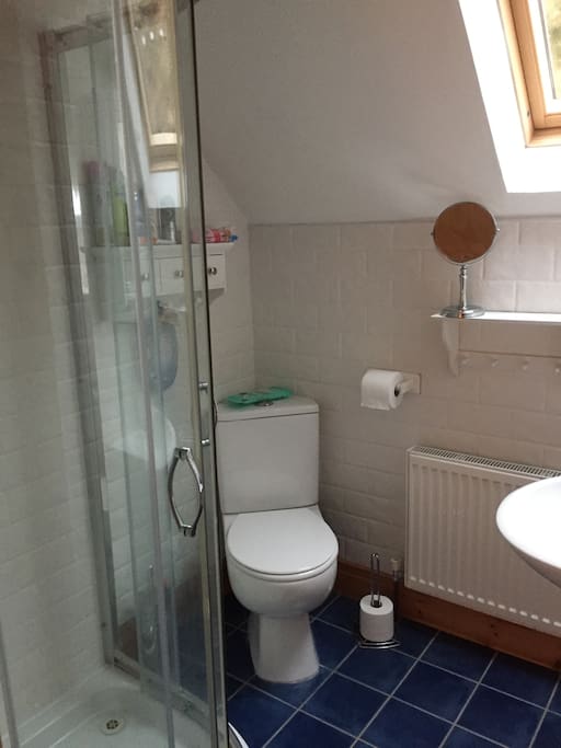 Shower/toilet