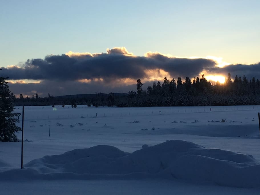 A view of our land in winter.