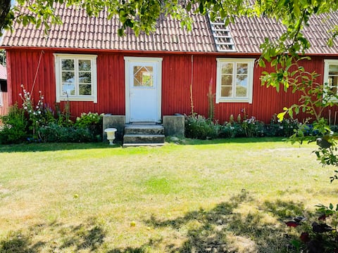 Wonderful cottage with a unique location in Kivik's apple orchard!