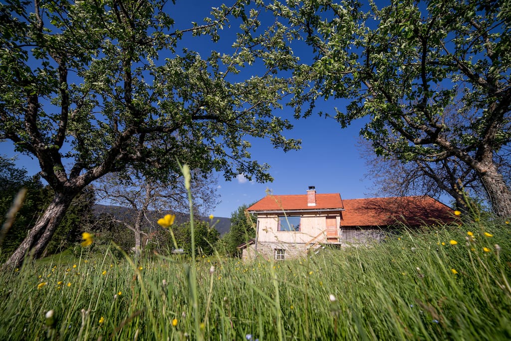 Spring time, Pohorje in the back