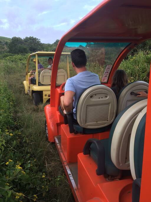 There are golf carts available for guests