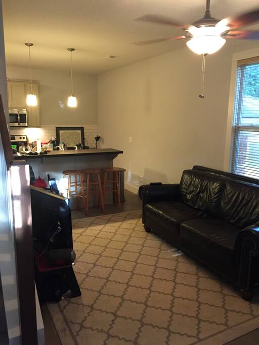 Living area and kitchen