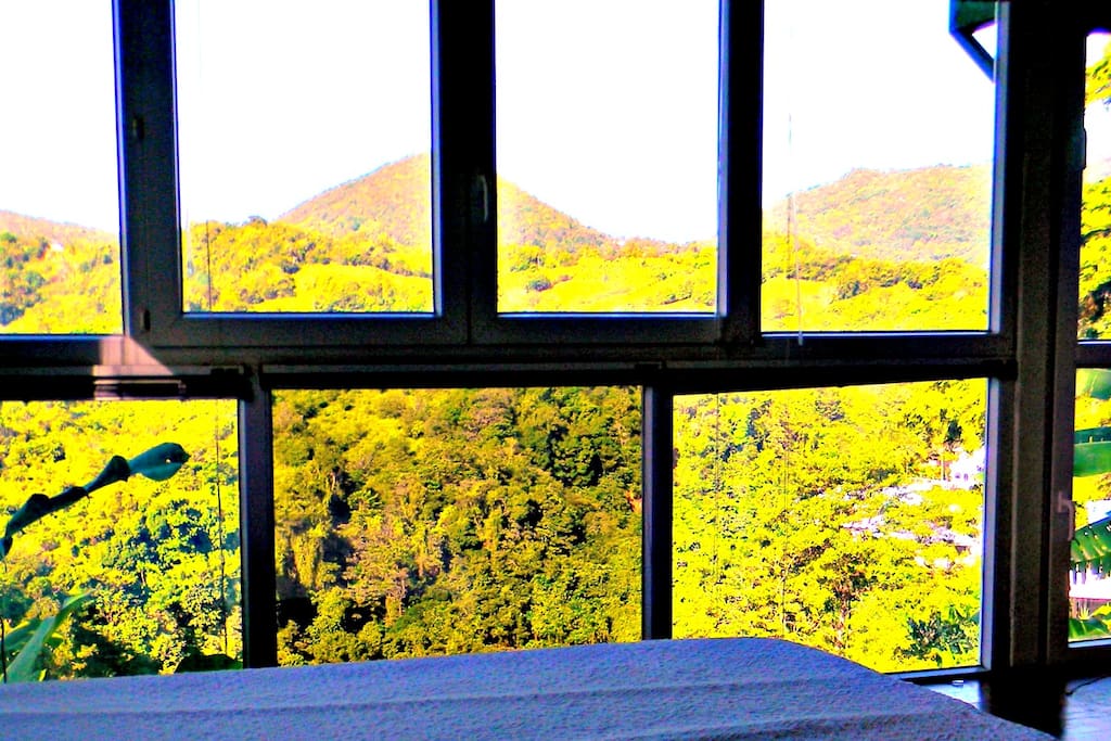 Chambre vue matinale (tous volets ouverts).