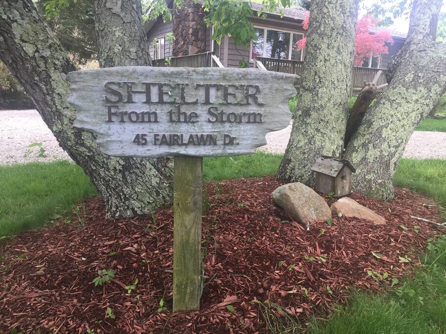 Shelter From the Storm