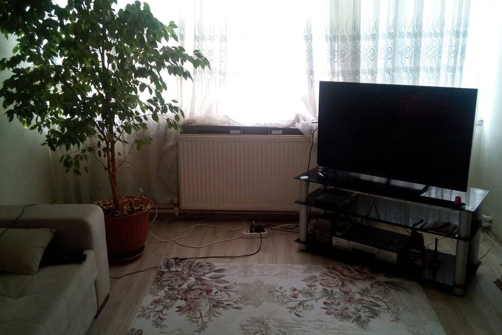 The room where i want to share