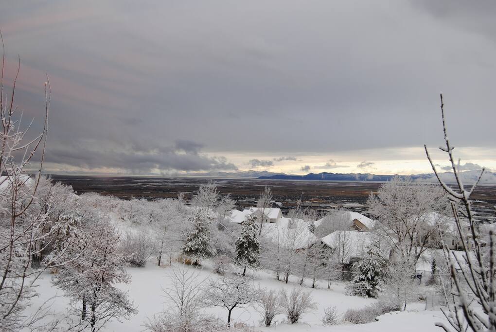 View from the back deck