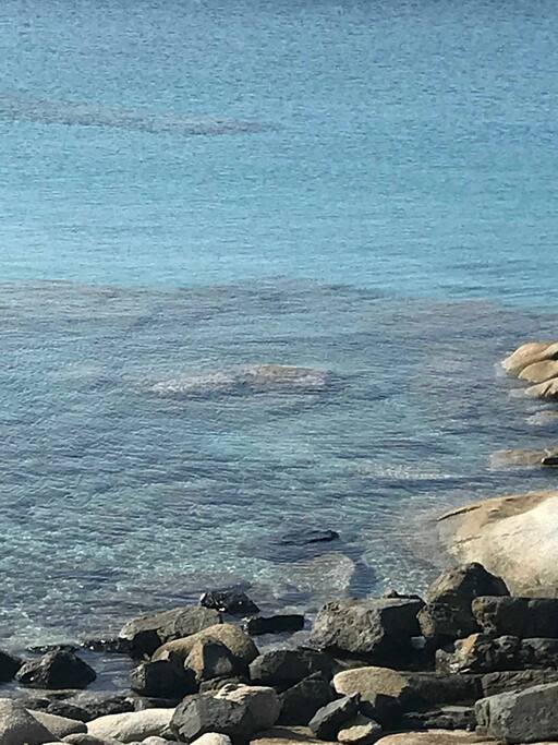 Il mare della Spiaggia del Riso