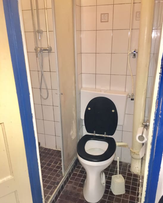 Toilet and shower