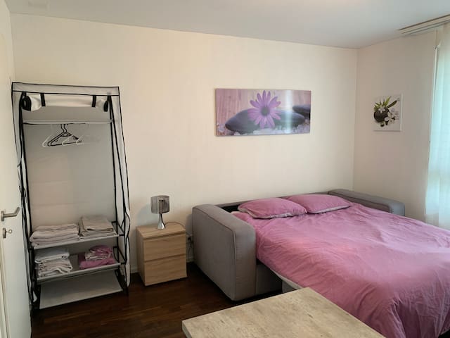 Chambre spacieuse et lumineuse à Belfaux.