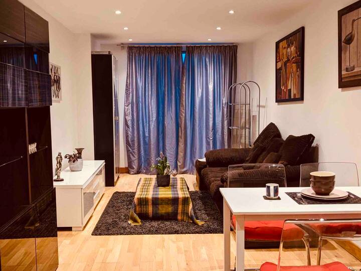 Cozy Flat Close to Zone 2 Tubes