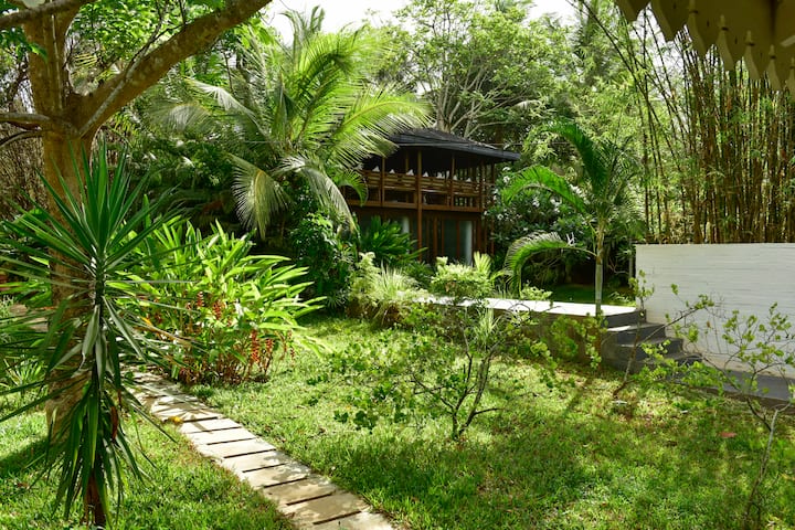 View of the Tree house from Main House