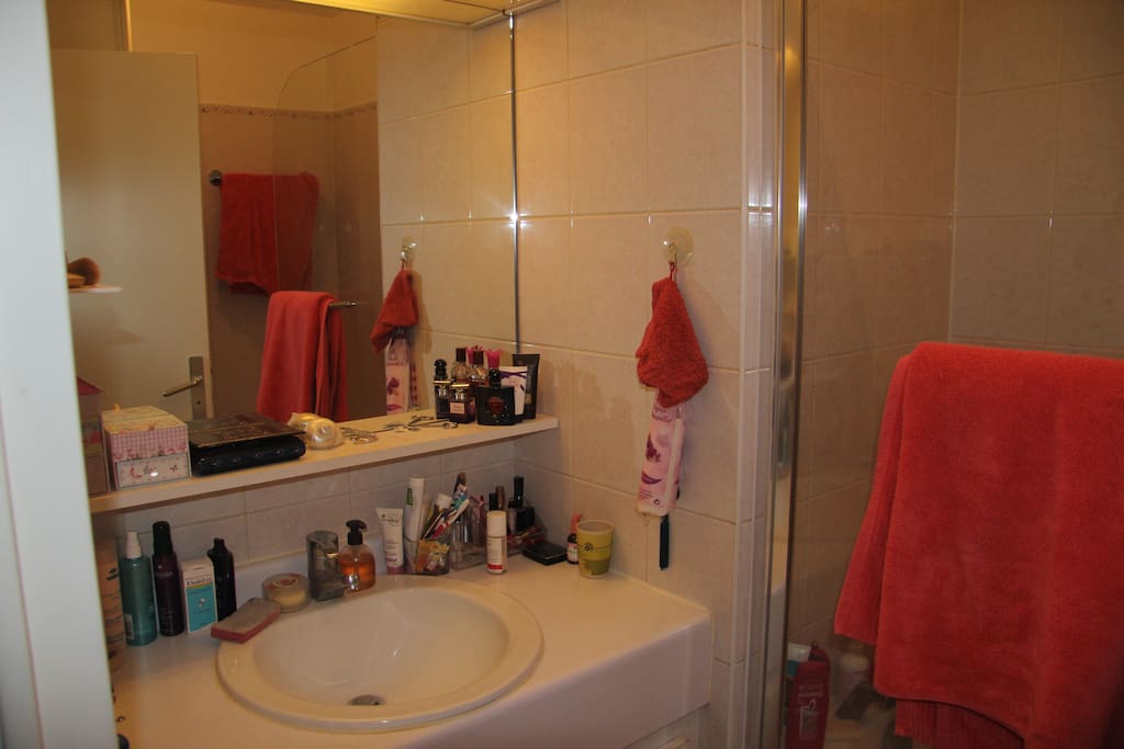 Salle de bain grand miroir
