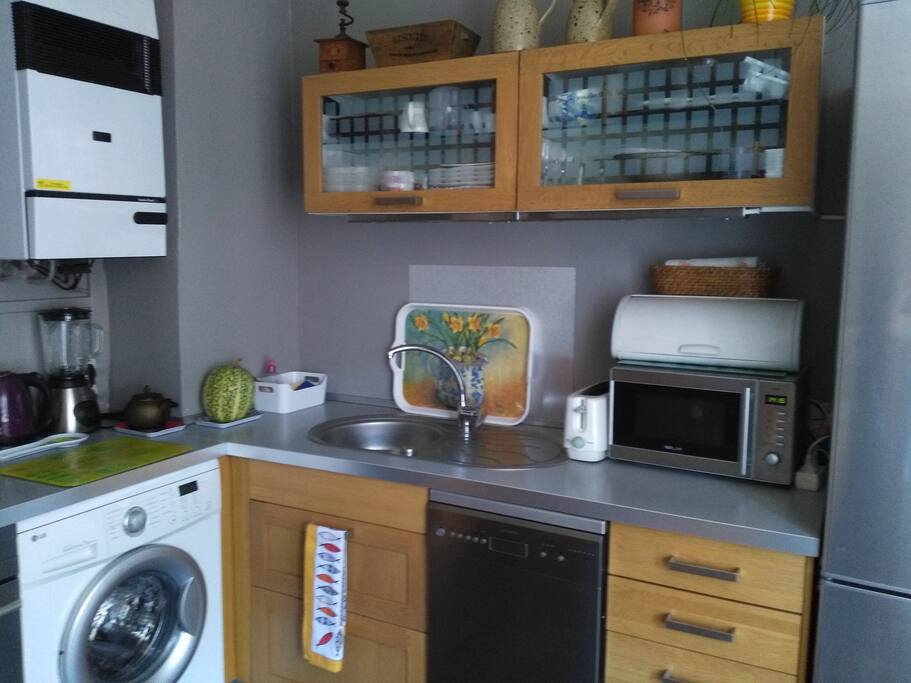 Cuisine équipée, four à micro-ondes, réfrigérateur, congélateur, lave linge...
