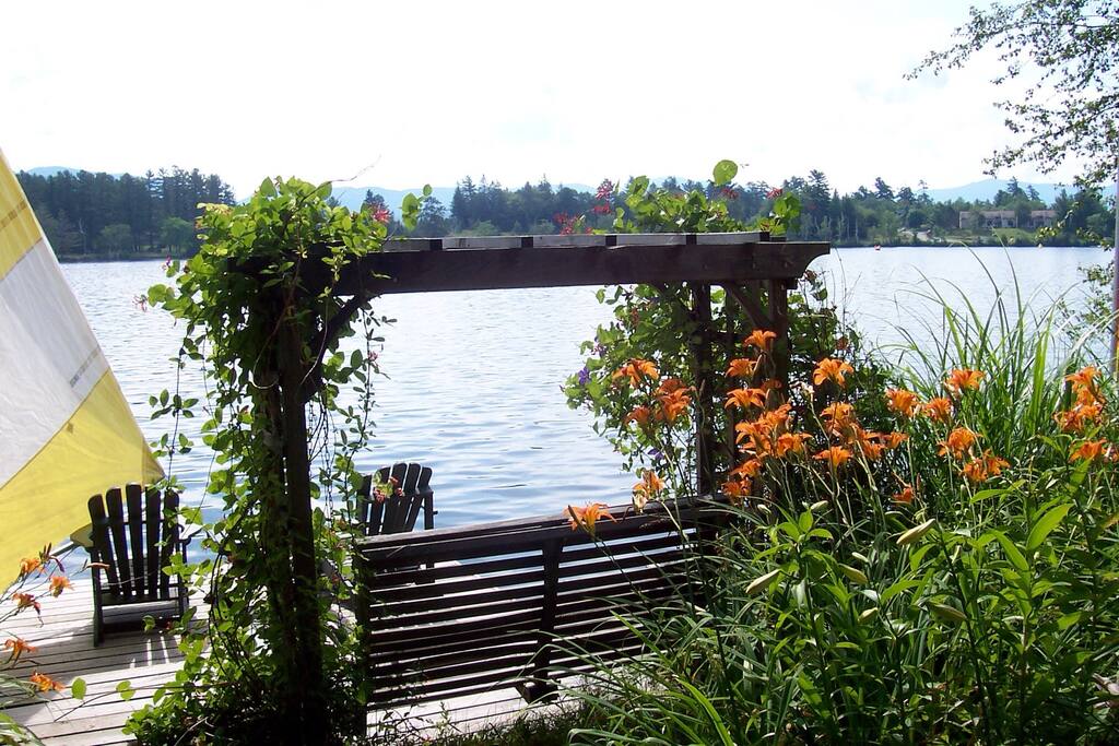 Dock and swing