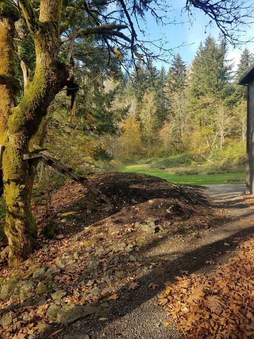 Enjoy a little over 3 acres of Northwest Forest and terrain in which to explore!