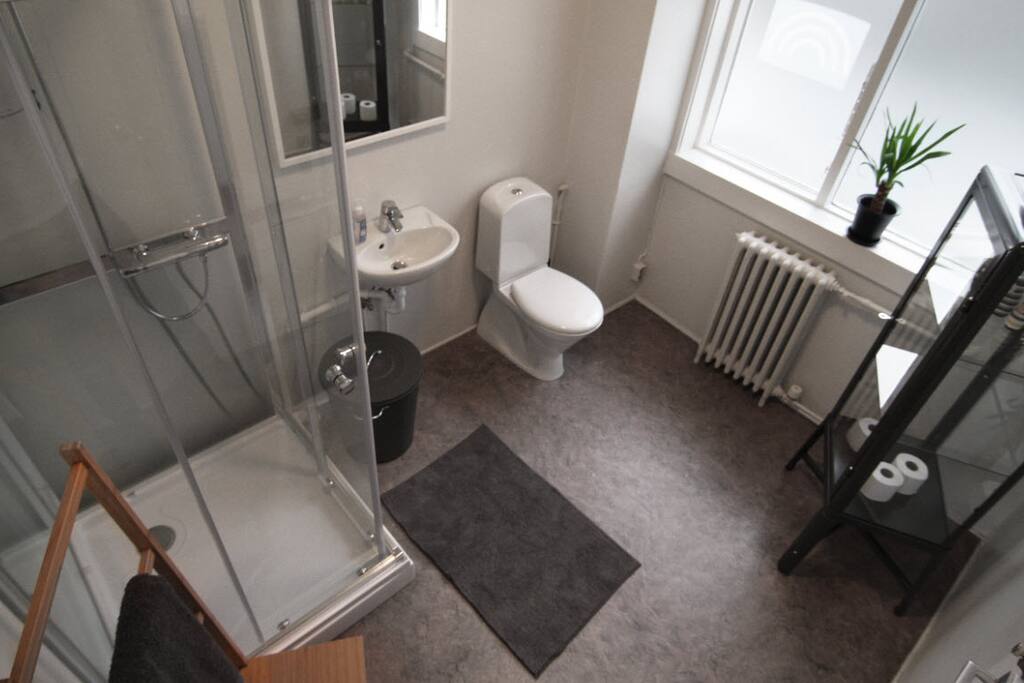 Bathroom on First Floor. We have two bathrooms with showers.