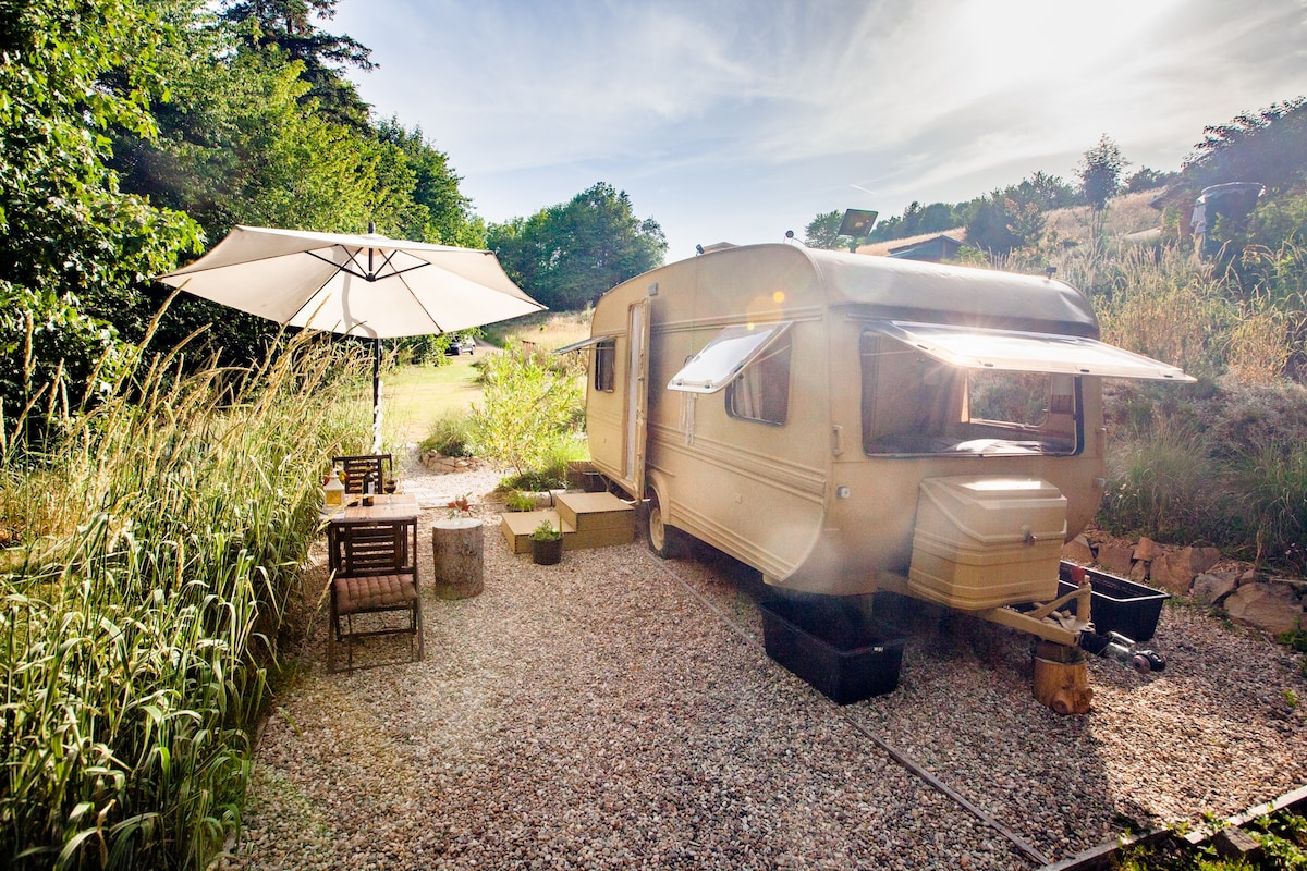 The camper is positioned on a gravel area surrounded by tall grass and greenery. A large umbrella shades a wooden table set with four chairs, inviting relaxation outdoors. Soft sunlight illuminates the scene, highlighting the natural surroundings and creating a tranquil atmosphere.