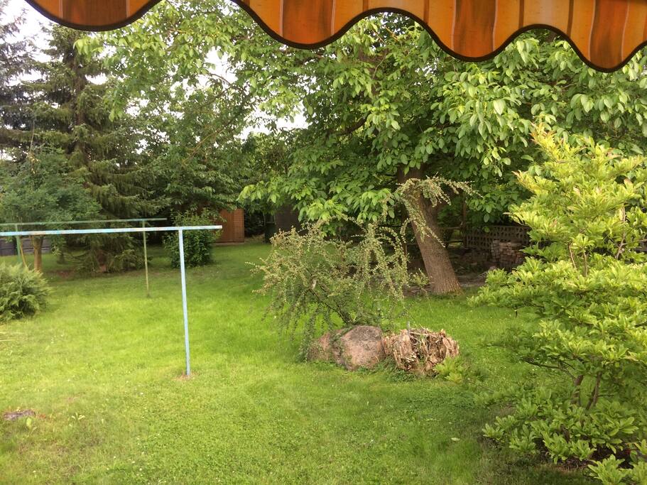 Der Garten mit einem großem Wallnußbaum