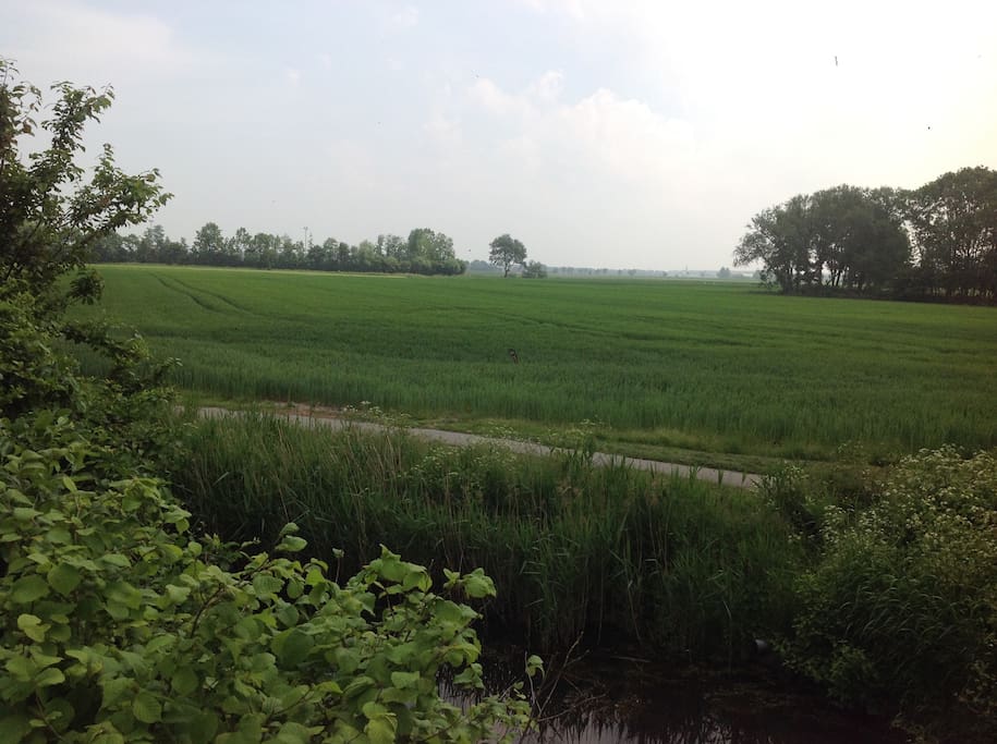 Omgeving