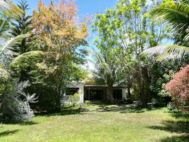 Bel Air retreat in a lush garden