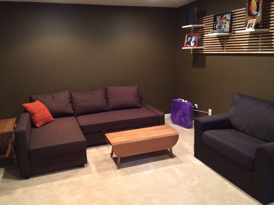 Finished Basement, pull-out couch.