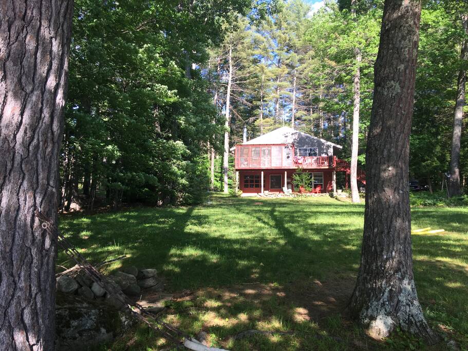 All this lawn space between the house and the pond