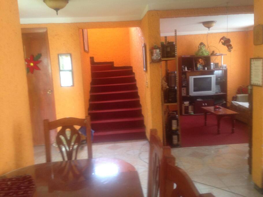 Excelente lugar para vivir y pasar unas increíbles vacaciones la sala esta alfombrada cuenta con buena iluminación tv por cable un baño cercano y acceso al segundo piso a demás de su comedor