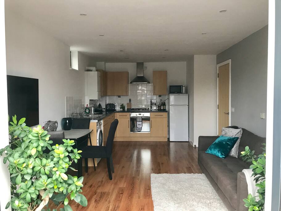 Kitchen Area (oven/microwave/gas hob)