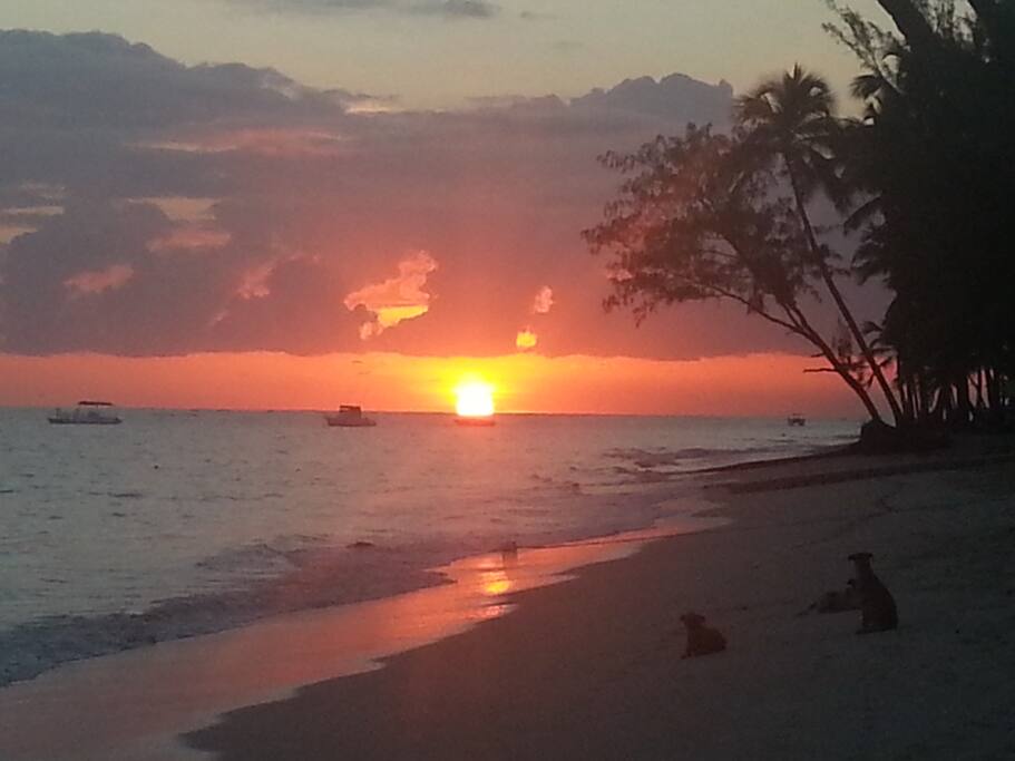 Playa a 60mts del Hotel