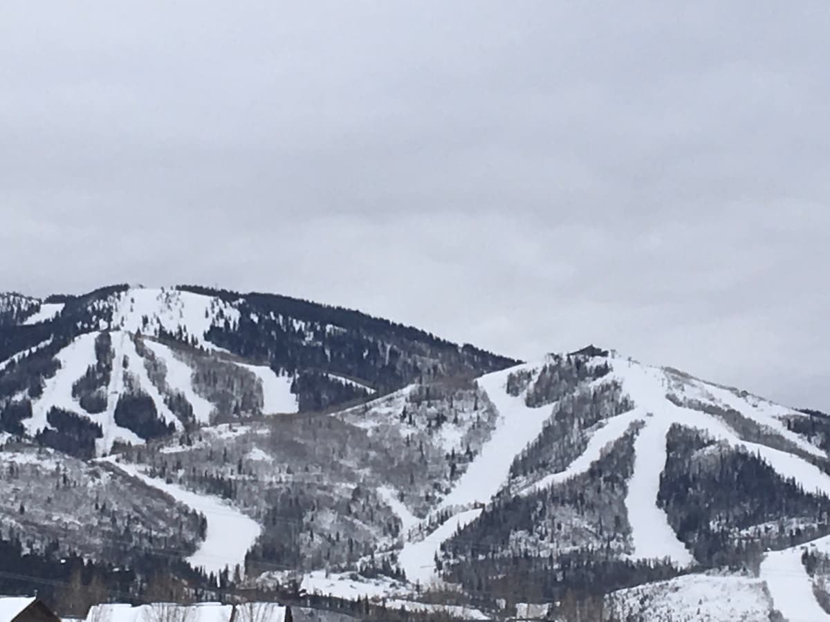 Snow-covered mountains rise in the background, showcasing ski trails that wind down their slopes. The landscape is marked by evergreens and patches of bare trees, set against a gray, overcast sky.
