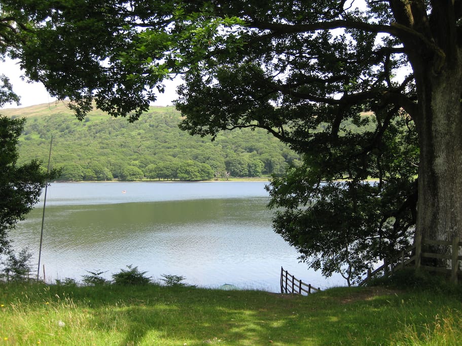 Path to lake shore and beach