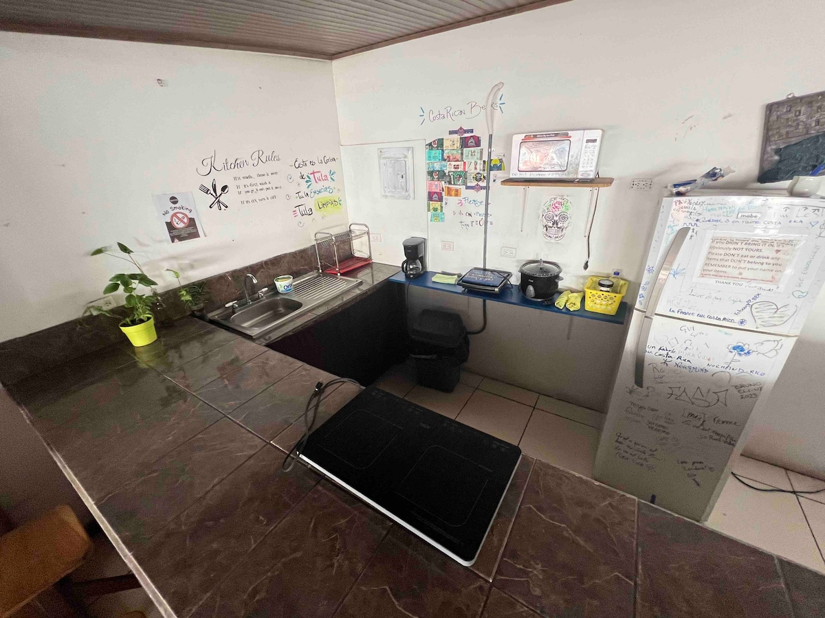 A simple kitchen area features a countertop with a sink and a two-burner gas stove. A coffee maker and sandwich maker are visible, alongside a refrigerator. Various notes and drawings are placed on the walls, and a small potted plant adds a touch of greenery.